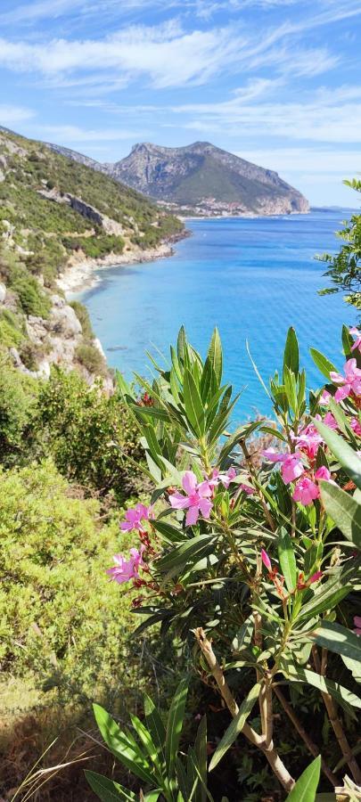 5 Min Front The Beach - Cala Luna House Cala Gonone Exterior foto